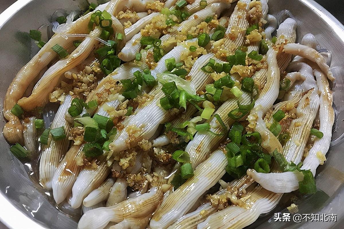 大怪美食_美食怪速度_美食怪物大师