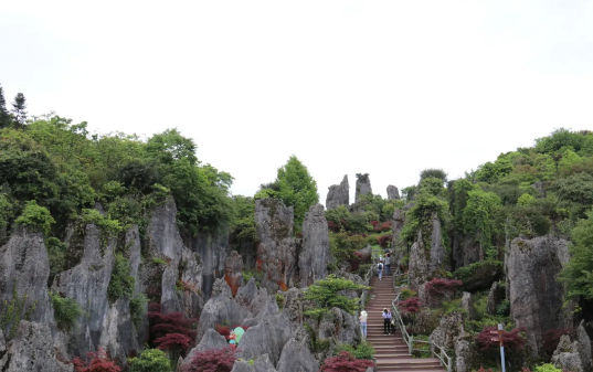 宝兴邓池沟烧烤_咖啡池温泉_邓池沟咖啡馆