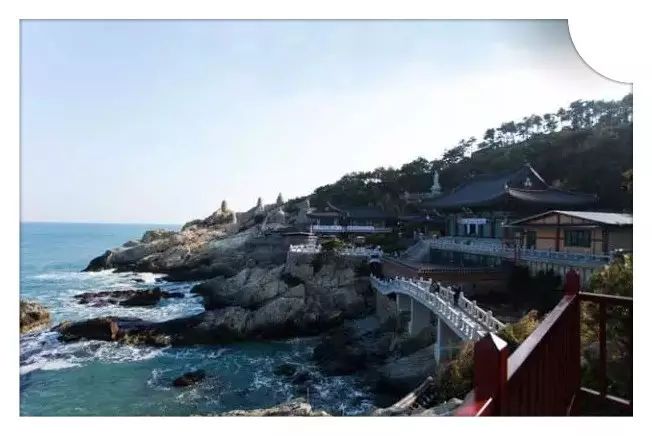 釜山旅游必体验：海鲜控的天堂，偷饭贼酱油蟹等你来尝